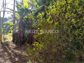 Sítio Para Vender com 3 quartos  em Piedade