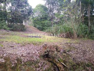 Sítio Para Vender com 3 quartos  em Piedade