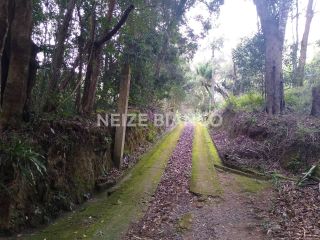 Sítio Para Vender com 3 quartos  em Piedade