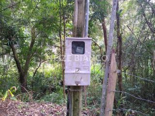 Sítio Para Vender com 3 quartos  em Piedade