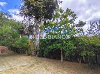 Chácara Para Alugar com 2 quartos em Piedade