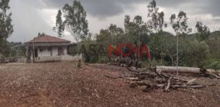 Sítio com 84 tarefas em São Cristovão