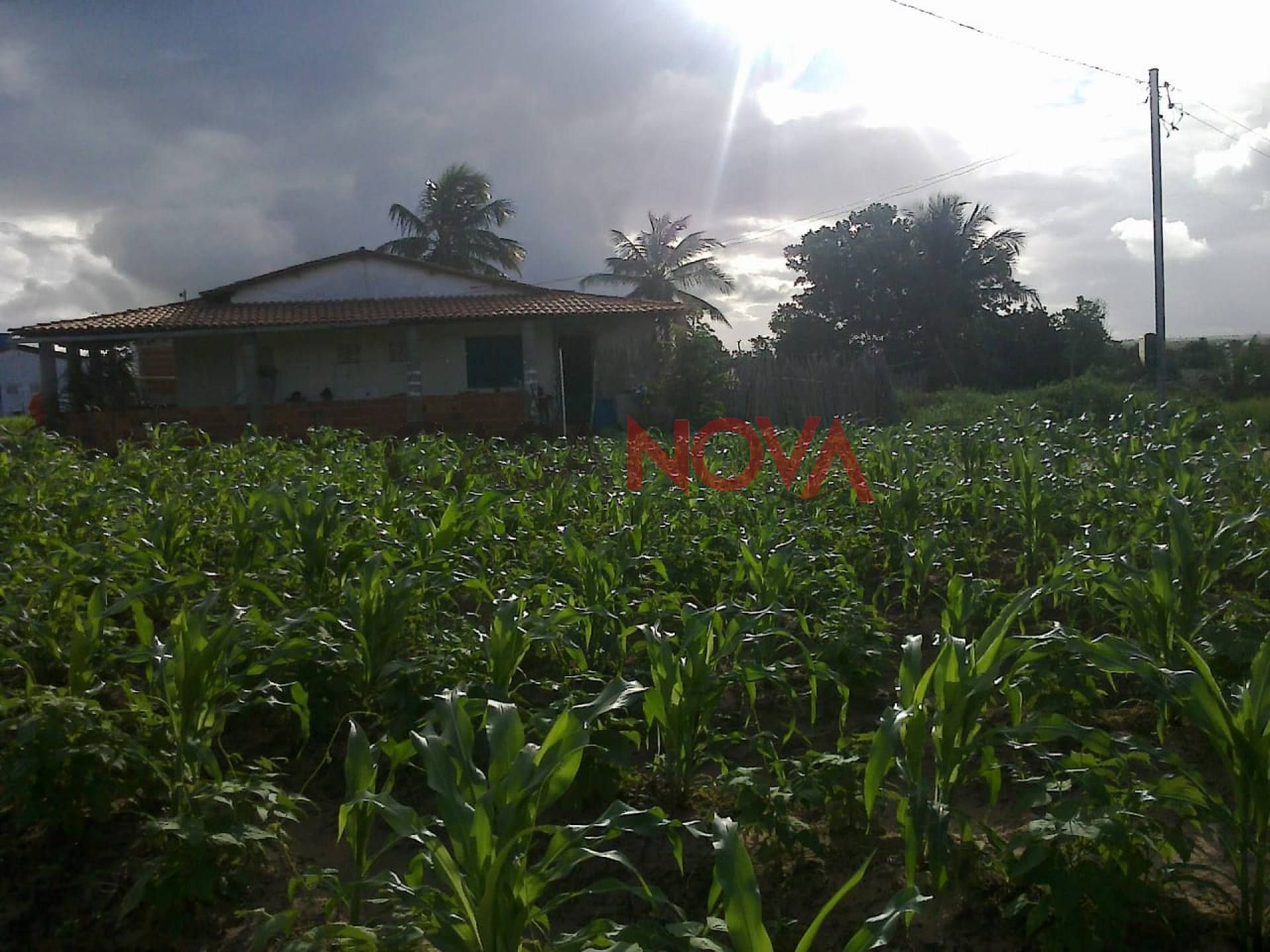 Sítio com 20 tarefas em Japaratuba