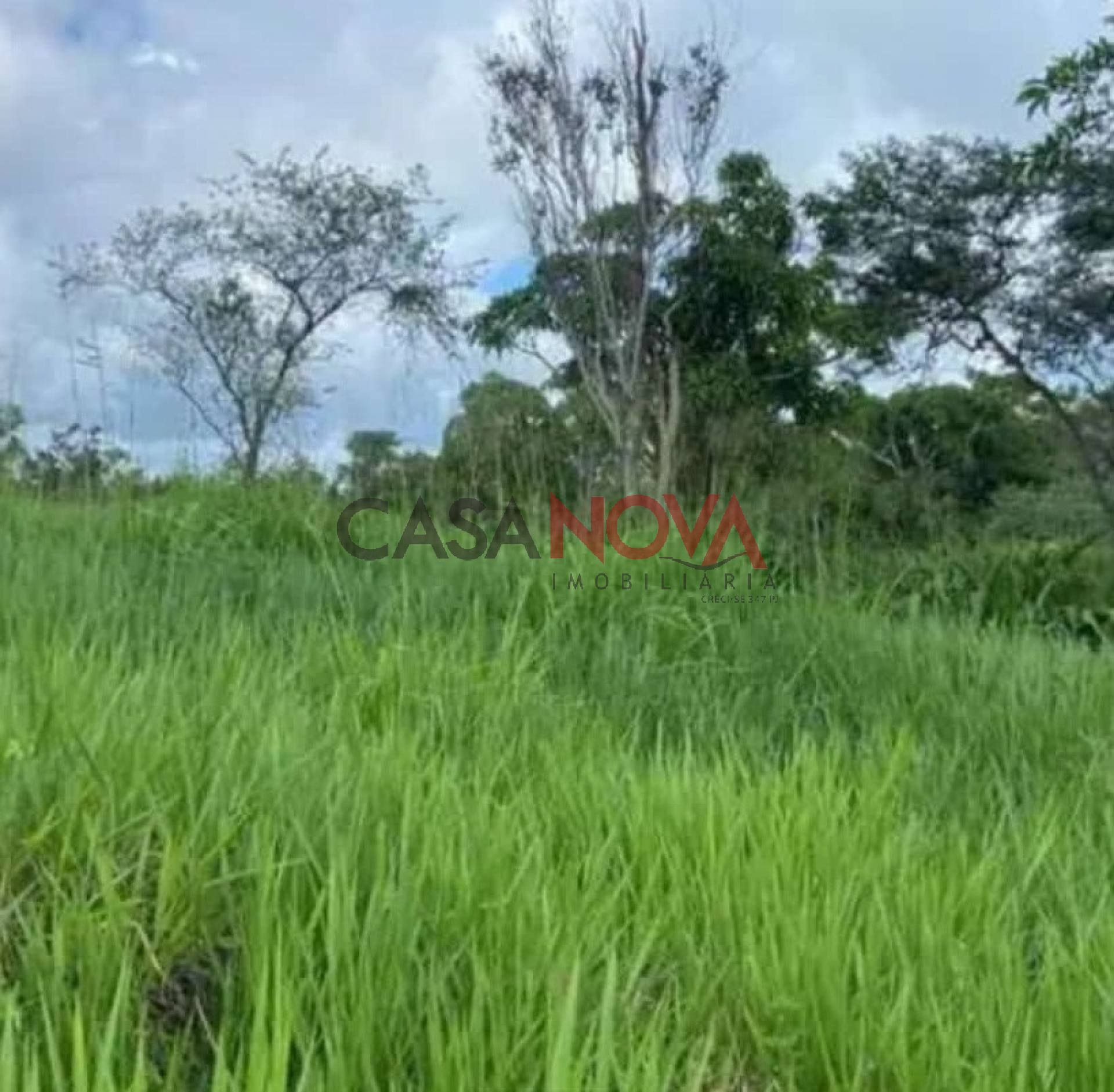 Fazenda com 450 tarefas em Simão Dias