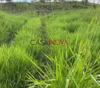 Fazenda com 450 tarefas em Simão Dias