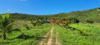 Fazenda com 70 tarefas em Macambira