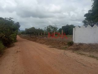 Oportunidade - Fazenda com 72 tarefas em Japaratuba