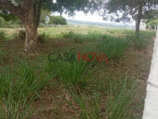 Oportunidade - Fazenda com 72 tarefas em Japaratuba