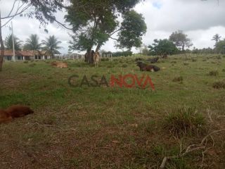 Oportunidade - Fazenda com 72 tarefas em Japaratuba