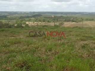 Oportunidade - Fazenda com 72 tarefas em Japaratuba