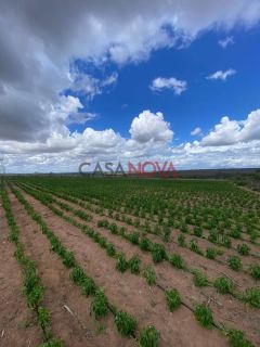 Vendo ou Troco Fazenda com 113 tarefas em Jeremoabo-Ba