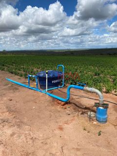 Vendo ou Troco Fazenda com 113 tarefas em Jeremoabo-Ba