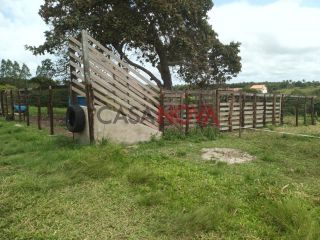 Sítio com 33 tarefas em Itaporanga