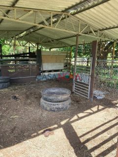 Oportunidade: Vendo ou Troco Sítio de 14 tarefas em Itabaiana