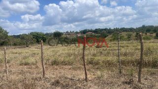 Sítio com 30 Tarefas no Povoado Nova Descoberta em Itaporanga
