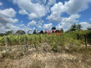 Sítio com 30 Tarefas no Povoado Nova Descoberta em Itaporanga