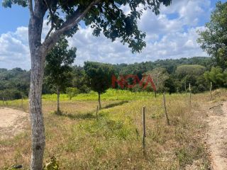 Sítio com 30 Tarefas no Povoado Nova Descoberta em Itaporanga