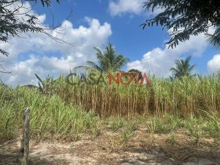 Sítio com 30 Tarefas no Povoado Nova Descoberta em Itaporanga