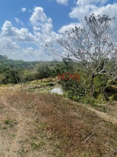 Sítio com 30 Tarefas no Povoado Nova Descoberta em Itaporanga