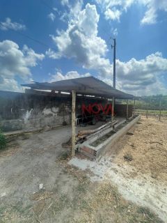 Sítio com 30 Tarefas no Povoado Nova Descoberta em Itaporanga