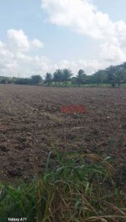 Sítio com 20 Tarefas em Malhador