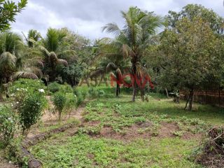 Sítio com 20 Tarefas em Malhador
