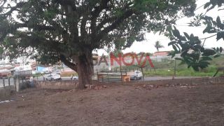 Oportunidade: Sítio em Socorro com 1.546 m²