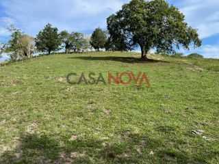 Fazenda com 70 tarefas em Itaporanga