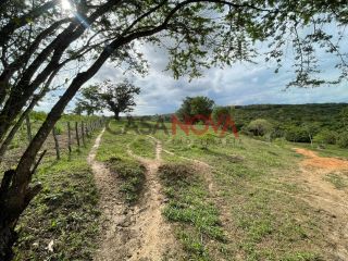 Fazenda com 70 tarefas em Itaporanga
