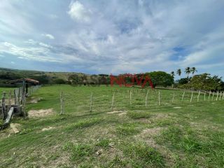 Fazenda com 70 tarefas em Itaporanga