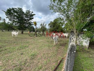 Fazenda com 70 tarefas em Itaporanga