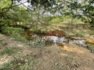 Fazenda com 70 tarefas em Itaporanga