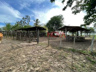 Fazenda com 70 tarefas em Itaporanga