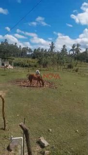 Sítio com 9 tarefas em Itaporanga