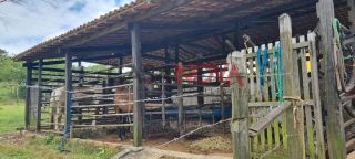 Fazenda com 72 tarefas em Salgado