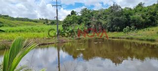 Fazenda com 72 tarefas em Salgado