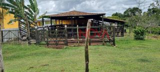 Fazenda com 72 tarefas em Salgado