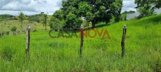 Fazenda com 72 tarefas em Salgado