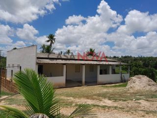 Fazenda com 56 tarefas em Salgado