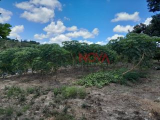Fazenda com 56 tarefas em Salgado