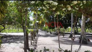 Excelente Fazenda em Estância com 160 tarefas