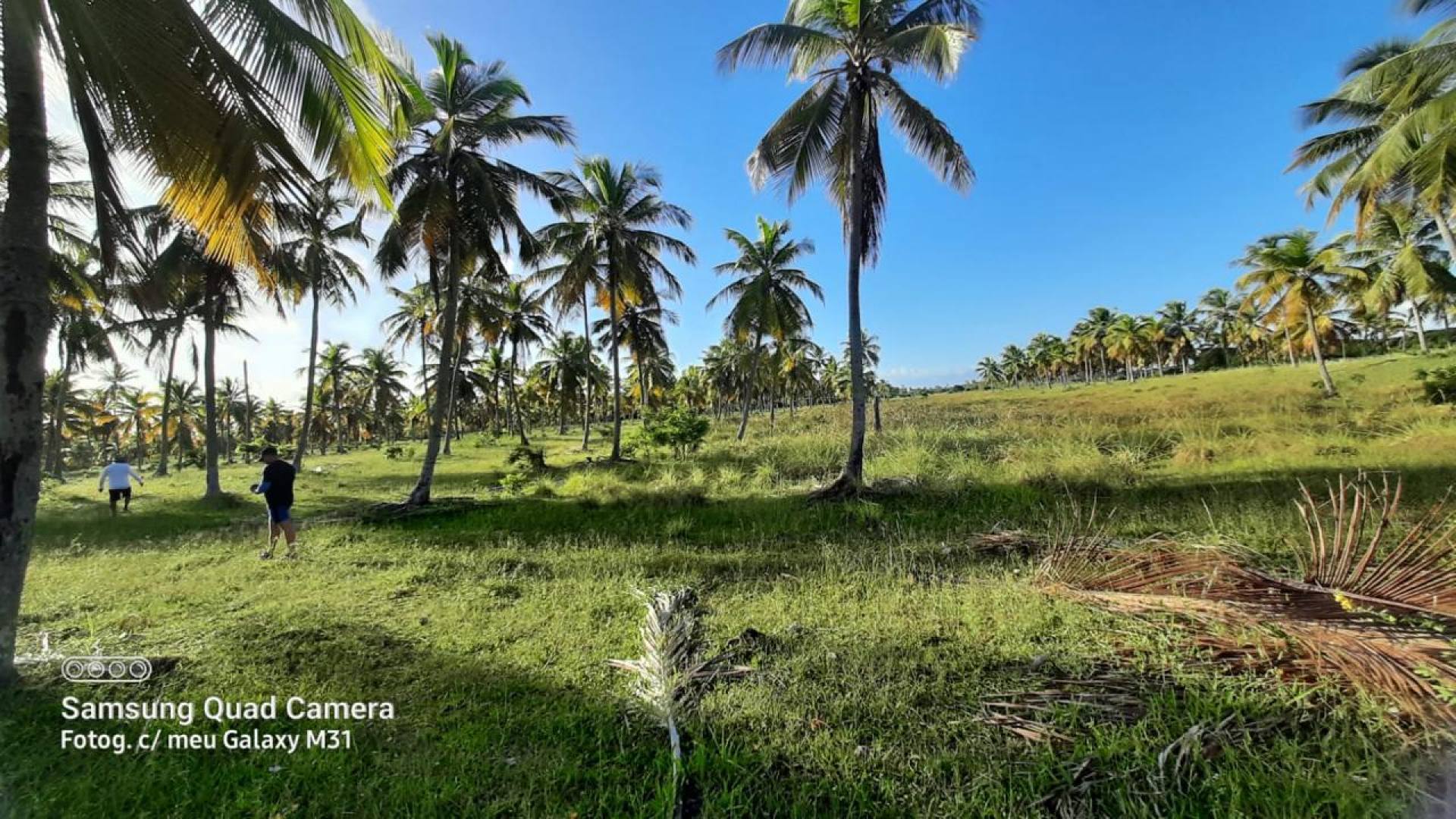 Vendo ou troco terreno com 30.000 m² em Estância