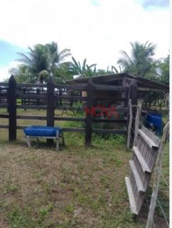 Fazenda com 105 tarefas em Japaratuba