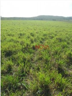 Fazenda com 105 tarefas em Japaratuba