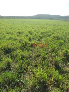 Fazenda com 105 tarefas em Japaratuba