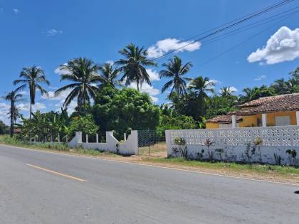 Sítio com 4 tarefas em Itaporanga