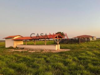 Fazenda com 105 tarefas em Tobias Barreto