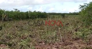 Fazenda com 70 tarefas em Lagarto