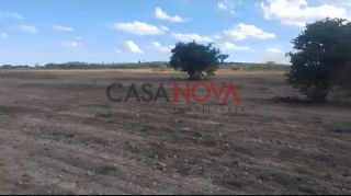 Fazenda com 200 tarefas em Itapicuru