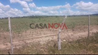 Fazenda com 200 tarefas em Itapicuru